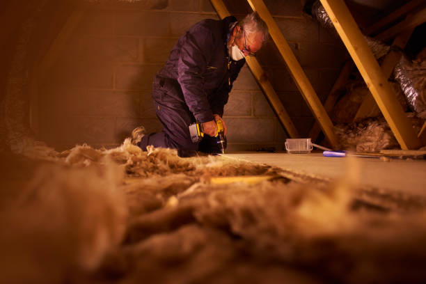Professional Insulation Contractor in Refugio, TX